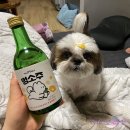 점례와방실이