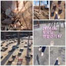 채력실 이미지
