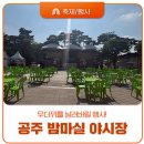 충남농아인의 날 기념 및 농문화페스티벌 | 점점 더워지는 날씨 속 공주 밤마실 야시장 &amp; 공주 산성시장 방문 해보세요