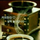 가넷