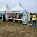 서귀포시 동부보건소 | 서귀포 가시리 녹산로 유채꽃 축제 후기
