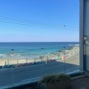 인스타고성점 | 강원도 고성카페 아야트커피 오션뷰 인스타 감성 카페