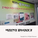 박정연의 피부이야기