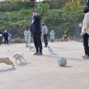 라온펫동물병원 이미지