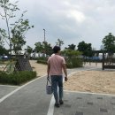 다비드 핏 이미지