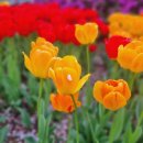 미주진로(아) | 4월 뒤돌아보기&amp;5월 다짐(W/베센트 장관 인터뷰 해석)