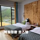 푸바오 자유여행 - 판다기지 숙박 중국 선수핑 숙소 목월청람 민박 후기