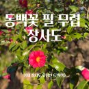 학동지물 | 거제 장사도 유람선 동백꽃 보러 떠나요 (최단거리 배타기)