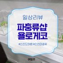욜로 | [공지] 인천 파충류샵 게코 전문으로 하는 '파충류샵 욜로게코' 방문 후기