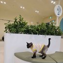 마레동물병원 이미지