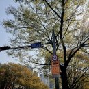 교동주공아파트 이미지