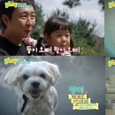 똥강아지 이미지