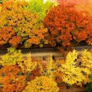 가을이네 이미지