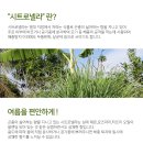 아로마스토리 티스토리