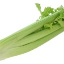 비타민휘트니스헬스클럽 이미지