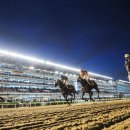 재무관리(야간) 이미지