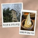 자작나무식당 | 삿포로 근교 여행｜탁신관 자작나무길 산책 &amp; 비에이역 점심 후기