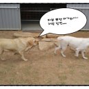 태양이네민박 이미지