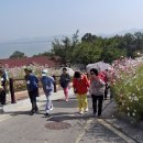 강화생생 이미지