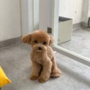 라미살롱 이미지