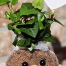 외삼초등학교(병설) 이미지