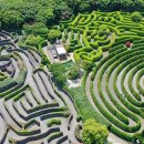 메이즈랜드 이미지