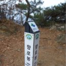 은평-040 티스토리