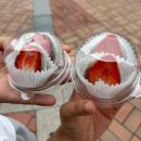 설레는 첫 여수 여행!_여수 여행 솔직 리뷰, 딸기 모찌, 낭만포차