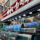 용마산로 494 이미지