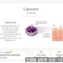 주니인셀덤