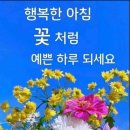 행복한 화요일 보내세요, 이미지