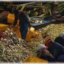 가거도 태양 이미지