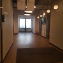 있다] 퍼스널 컬러 진단! 상세한 후기 (서울 선릉 이미지호) 여름 쿨톤 라이트-브라이트 사이 진단 받음.