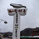 용대리황태촌 네이버블로그
