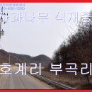 부곡리부동산공인중개사사무소 이미지