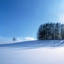우쿨렐레연주 이미지