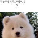웅 네이버블로그