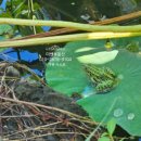 아이파크스위트 공인중개사사무소 이미지