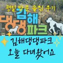 오늘의 댕댕 | 김해댕댕파크 직접 가본 솔직 후기ㅣ🐾 강아지랑 오늘 다녀왔어요