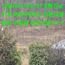 머꼬요