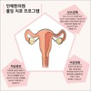 안성맞춤한의원 이미지