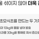 초모 이미지