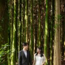 원대로-1 이미지