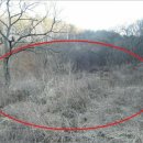 여주-1084 이미지