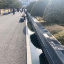 신성공원 | 부산 유엔기념공원 UN공원 관람 순서 주차 시간 홍매화 후기