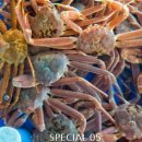 에떼르모 관광펜션 이미지