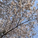 유야수산 이미지