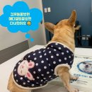 (주)메디엘 이미지