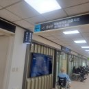 신장내과 진료 중 배뇨 이상, 비뇨기과 협진 후기 (과민성방광 의심)