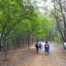 소림사유치원 이미지